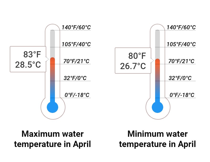 Average Sea temperature